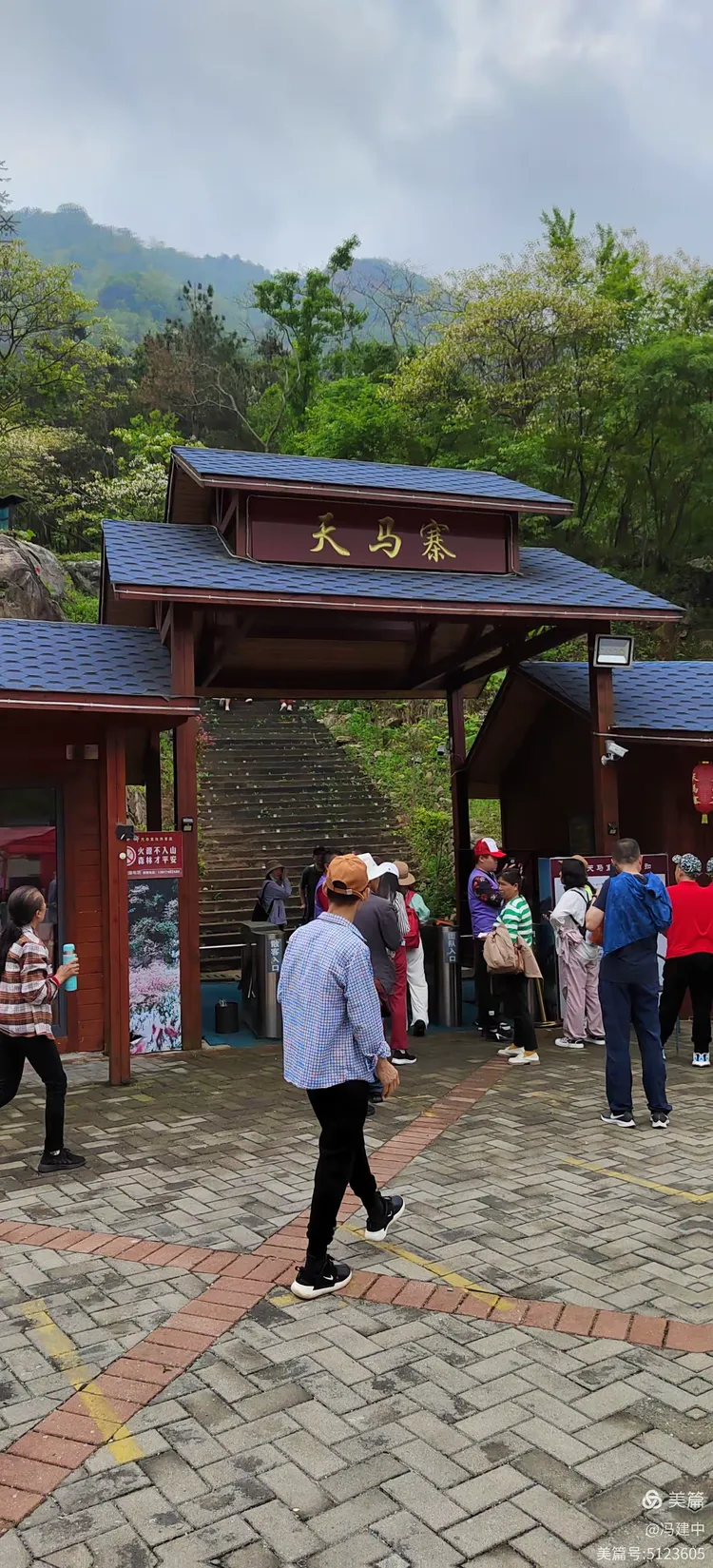 杜鹃花艳天马寨